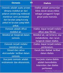 Sel hewan pada larutan hipertonik. Apa Yang Dimaksud Dengan Endosmosis Perbedaan