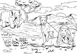 Laden sie fotos, illustrationen und bilder kostenlos herunter. Malvorlage Lowe Wilde Tiere Kostenlose Ausmalbilder