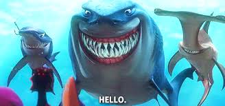 Nemo don't touch the boat! Finding Nemo Shark Quotes Quotesgram