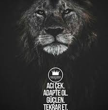 Kubra Motivasyon Motivasyon Alintilari Ilham Veren Alintilar