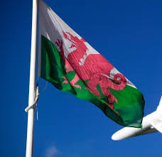 The upper one white and the lower one green. The Legend Of The Welsh Dragon Visit Wales