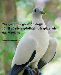 Sema Cetinkaya Adli Kullanicinin Konusma Terapisi Panosundaki Pin Insaniyet Guzel Soz Ozlu Sozler
