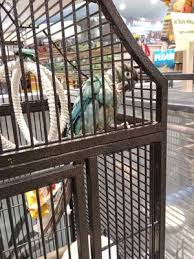 Follow these simple steps and find stores near you where you can get healthy and delicious food for your pet. Nature Pet Centre Pet Stores 8350 Boulevard Newman Lasalle Montreal Qc Phone Number