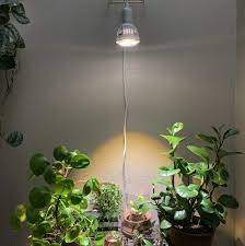 Best Grow Lights Reviewed By Succulent Lovers Succulent City Grow Lights For Plants Indoor Grow Lights Best Grow Lights