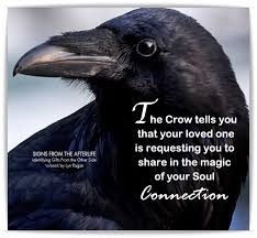 When The Black Crow Brings A Message From A Departed Loved One It Is A Profound Confirmation And Symbol Of Re Animal Spirit Guides Crow Meaning Spirit Animal