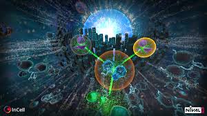He was a shy kid, too introverted to feel fully comfortable in the real world, and he. Incell Vr On Steam