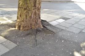 More images for busting up concrete » Can You Fix Concrete On Tree Roots Help I Poured Concrete Patio Over Tree Roots Accidentally