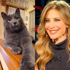 Buonasera e benvenuto. Che belva si sente?" "Ah ah ah, ma lo sa che lei è  simpatica? Quasi quanto me." "Cominciamo bene. Senta, di lei dicono che sia  dispettoso e vivace, è