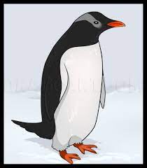 Next, draw the front view of the baby penguin's beak and add arched circles under the eyes. How To Draw A Penguin Step By Step Drawing Guide By Dawn Dragoart Com