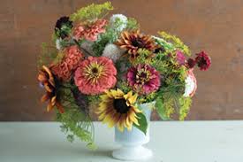 I agree, nothing says home better than flowers. Getting Started In Cut Flowers Top 15 Cuts Johnny S Selected Seeds