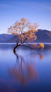 Pin De Huseyin Karaibis Em Manzara Em 2020 Lindas Paisagens Wallpaper Huawei Wallpaper Paisagem