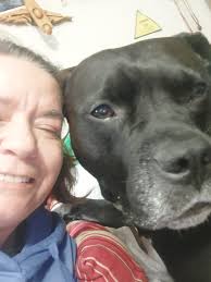 My handsome boy Diesel and his shadow are always beside me!🐾❤️