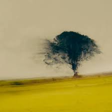 8 Famous Abstract Photographers And Their Photos Phototraces Abstract Photographs Abstract Photography Landscape Photography Tutorial