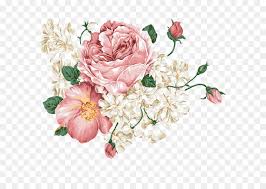 Liste der beliebtesten blumenstrauß in falkensee; Peony Floral Design Blumen Strauss Rosa Blumen Pfingstrosen Png Herunterladen 640 640 Kostenlos Transparent Blume Png Herunterladen