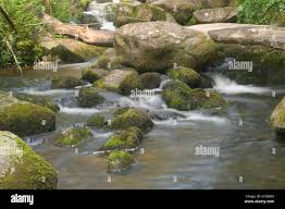 Becka Brook sotto Becky cade in autunno Dartmoor Devon Foto stock