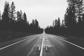 Black and white photos of trees. Road Trees Black And White Stock Images Page Everypixel