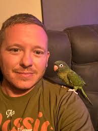 Our friends at Air Capital Aviaries still have a few Blue Crown Conure  Babies available