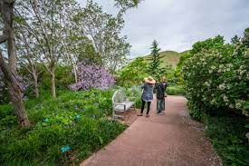 Venues and event spaces, coffee roasteries. Red Butte Garden Utah S Botanical Garden Salt Lake City Ut 84108