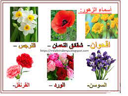 قابل للتحقيق على الأرض تتفاعل صور واسماء الزهور icedcourses com