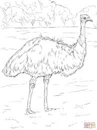 Click on any birds picture above to start coloring. Emu Coloring Pages Coloring Home