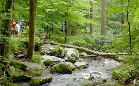 Cabin rentals of georgia proudly offer several log cabins within the chattahoochee national forest that offer spectacular sweeping and long range views of the cohutta mountain range. State Parks Pinnacle Cabin Rentals