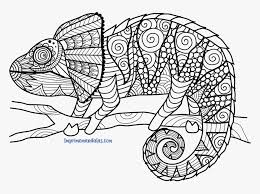 March 9, 2020april 6, 2019 by jeffrey w. Mandala De Conejo U2022 Imprime Mandalas Chameleon Zentangle Hd Png Download Transparent Png Image Pngitem
