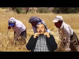 Ruyada Ekin Gormek Ekmek Bicmek Ruyada Ekin Ektigini Bictigini Gormek Bugday Ekmek Bicmek Ruya Videolu Ruya Tabirleri Ruya Ekim