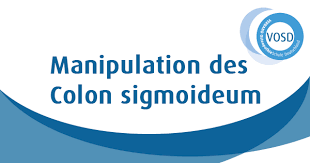 All content on this website, including dictionary, thesaurus, literature, geography, and other reference data is for informational purposes only. Unmittelbare Effekte Einer Manipulation Des Colon Sigmoideum Auf Druckschmerzschwellen In Der Lendenwirbelsaule Osteopathie Schule Deutschland