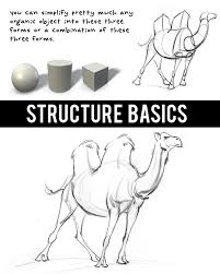 At the end drawing complicated shapes for beginner i. Stan Prokopenko Learn How To Break Down Complex Organic Forms Into