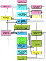 Image result for Start Back Screening Tool
