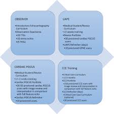 Upload, livestream, and create your. Recommendations For Echocardiography Laboratories Participating In Cardiac Point Of Care Cardiac Ultrasound Pocus And Critical Care Echocardiography Training Report From The American Society Of Echocardiography Journal Of The American Society Of
