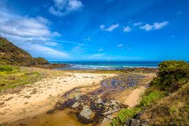 Big4 wye river holiday park offers a range of accommodation choices to suit all tastes and budgets. 1 394 Wye River Photos Free Royalty Free Stock Photos From Dreamstime