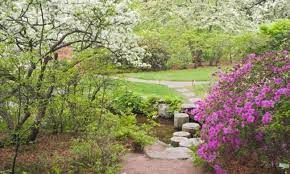 Asticou Azalea Gardens Northeast Harbor Maine Alltrips Azaleas Garden Most Beautiful Gardens Garden Of Cosmic Speculation