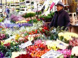 Columbia Road Flower Market In London In Photos Columbia Road Flower Market Flower Market Columbia Road