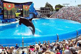 29 Off Seaworld San Diego Coupons Promo Codes Savingdoor