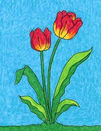 3d drawing easy to draw drawing 3 d shapes 5 tutorials vincent van. How To Draw A Tulip Art Projects For Kids