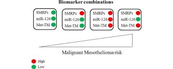 Symptoms can include chest pain, shortness of breath and general fatigue. Combined Circulating Epigenetic Markers To Improve Mesothelin Performance In The Diagnosis Of Malignant Mesothelioma Lung Cancer