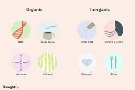 Difference Between Organic And Inorganic Compounds Key Differences