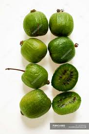 Image result for foto minikiwi