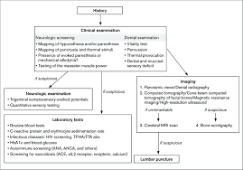 diagnostic flow chart ana antinuclear antibody anca