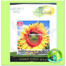Semusim yang keras dan mudah tumbuh ini mencerahkan taman mammoth: Jual Benih Bunga Matahari Sunflower Mammoth Grey Stripe Haira Seed 10 Butir Kota Tangerang Selatan Dunia Ponics Tokopedia