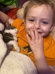 Lost Cat Mittens in Gainsville Georgia