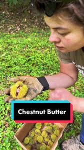 Fresh chestnut butter. 🌰 #chestnut #butter #forage #foryou #fyp #fypage  #howto #recipe #foraging #appalachia #kentucky #food