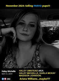 Piedmont Triad of NC: 🚨Haley Umstead is selling PARVO PUPS!🚨She's a long  time dog flipper, we posted about her in March! She uses several alias's  that we know of (listed