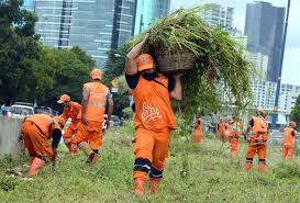 Melamar pekerjaan atas rekomendasi tokoh, orang terkenal, atau pejabat bukan berarti menjadi cara bagi kamu masuk kerja karena orang dalam. Beda Nasib Antara Petugas Phl Dan Ppsu
