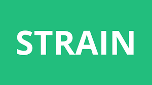 Microbiology or virology a strain is a genetic variant or subtype of a microorganism (e.g., virus or bacterium or fungus). How To Pronounce Strain Pronunciation Academy Youtube