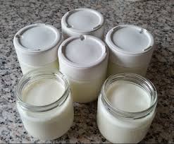 Yaourt Vanille Style La Laitiere Recette Recette Yaourt Avec Yaourtiere Recette Yaourt Arome Alimentaire
