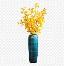 All images are transparent background and unlimited download. Lightbox Moreview Floor Flower Vase Png Transparent Png 800x800 3053119 Pngfind