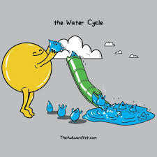 The Water Cycle Funny Comics Science Jokes Awkward Yeti