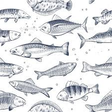 Sketch Fishes Seamless Pattern Etched Ocean Fish Fish Sketch Ocean Drawing Fish Drawings